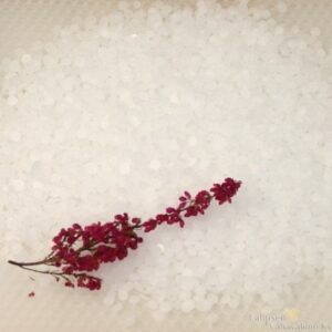 Parafiinirae Sasolwax